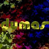 Dumas - Une journée parfaite