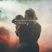 Marie-Pierre Arthur - Cacher l'hiver